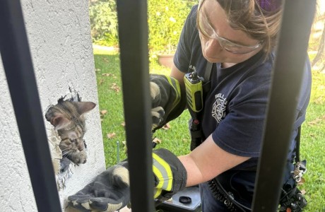 firefighter and cat