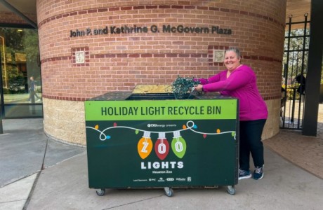 Holiday light recycling at the Houston Zoo