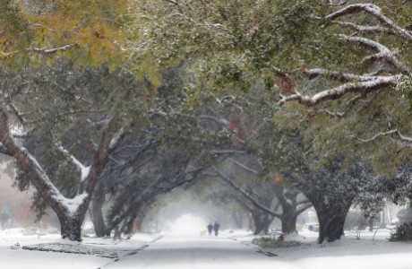 WALK IN THE SNOW