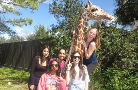 CVHS students at the Zoo