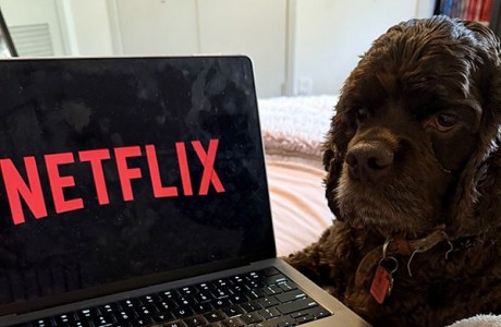 What to watch