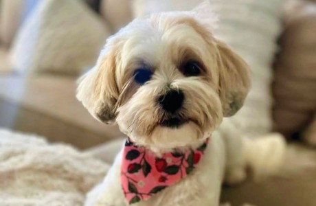 Chloe