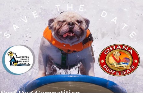 4th Annual Ohana Surf Dog Competition Benefitting The Galveston Island Humane Society