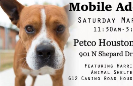 Mobile Adoption Featuring Harris County Animal Shelter Pets