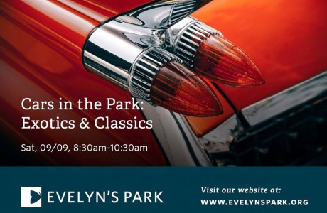 Cars in the Park: Exotics & Classics