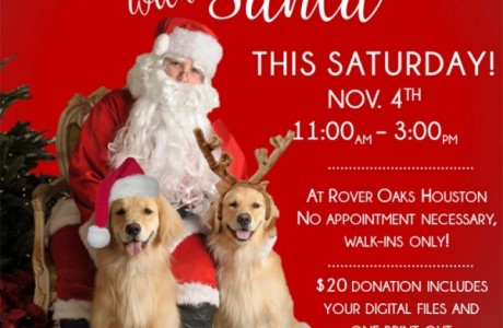 Doggie Pictures with Santa Benefiting Shaggy Dog Rescue