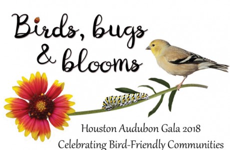 Birds, Bugs & Blooms Gala 2018