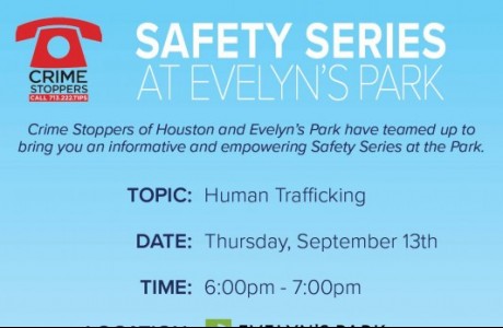 Safety Series