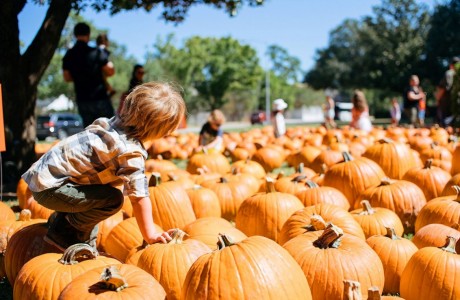 Pumpkin Patch at St. Luke’s United Methodist Church