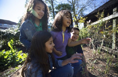 Earth Day Bash