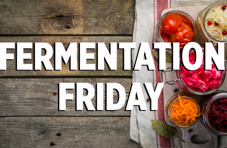 Fermentation Friday
