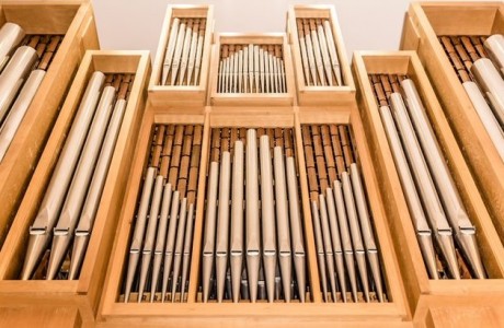 Organ