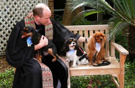 Blessing of the Animals