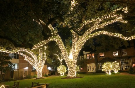 Houston Hospice Gardens of Light