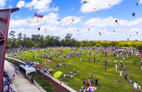 Kite Festival