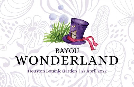Bayou Wonderland