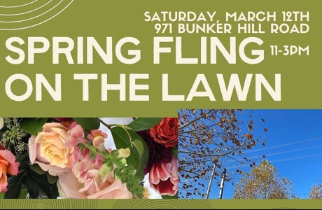 Spring Fling on the Lawn