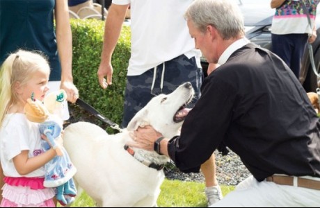 blessing animals