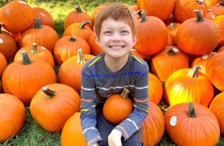 Pumpkin Patch Fall Festival