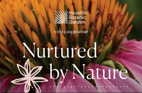 Nurtured by Nature: Wellness Flourish Outdoors