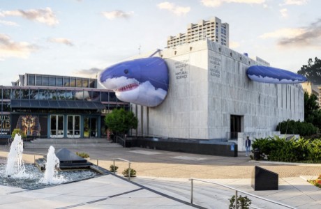 “Sharks! The Meg, The Monsters, & The Myths” Exhibit at the Houston Museum of Natural Science