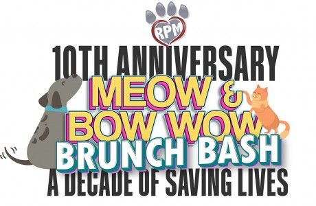 Rescued Pets Movement's 10th Anniversary Celebration: Meow & Bow-Wow Brunch Bash