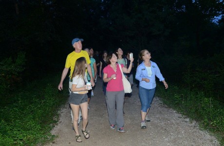 Group with bat detector