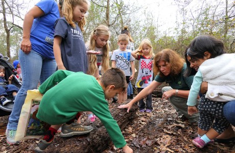 Arbor Day Celebration