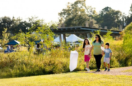 Summer Species: Butterfly Walk