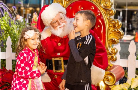 Holiday in the Plaza