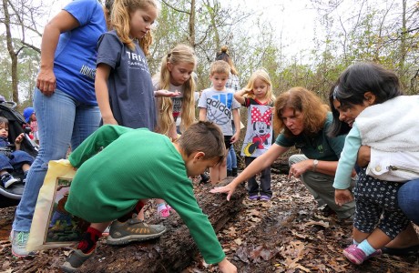 Arbor Day