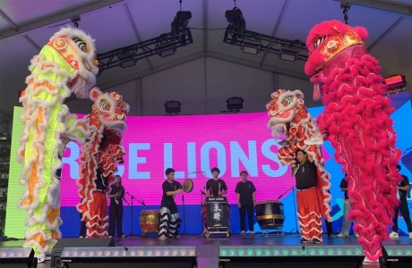 Rice Lions