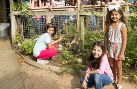 Earth Day Bash at Children's Museum Houston
