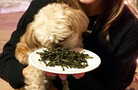 Karina Arnold and dog Coco