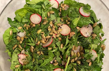Herb, Radish and Seed Salad