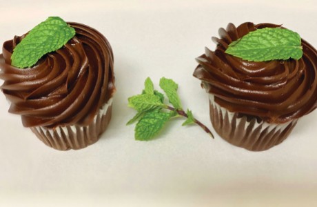 Mint Chocolate Cupcakes