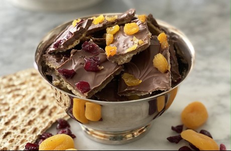 Chocolate Matzah with Dried Apricots and Cranberries