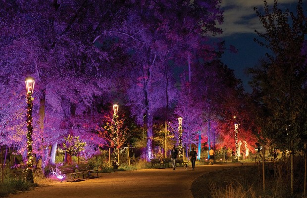 lightscape botanic gardens comed