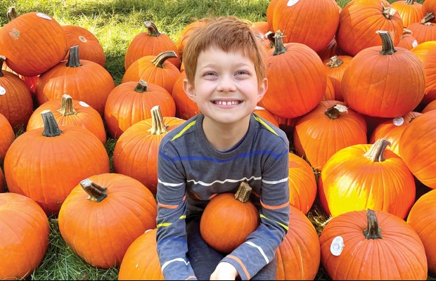 Fall Festivals The Buzz Magazines fall-festivals-the-buzz-magazines