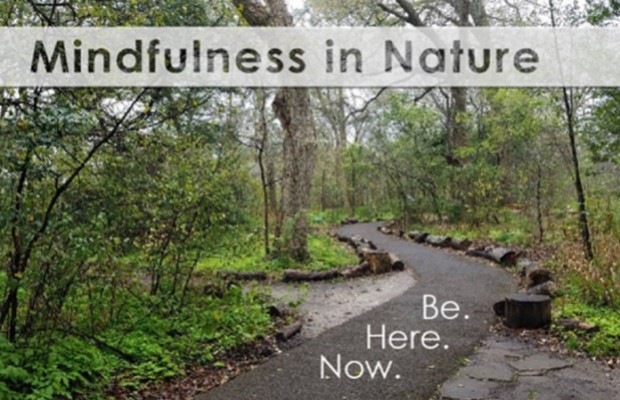 Mindfulness in Nature Magazines