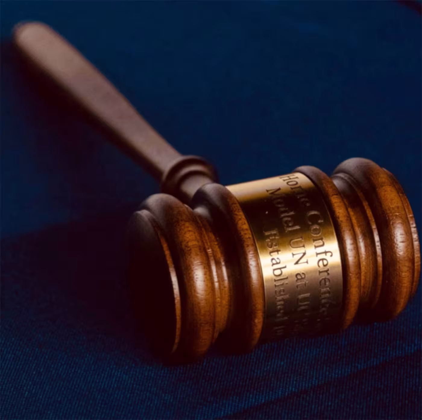 Village High School Model United Nations