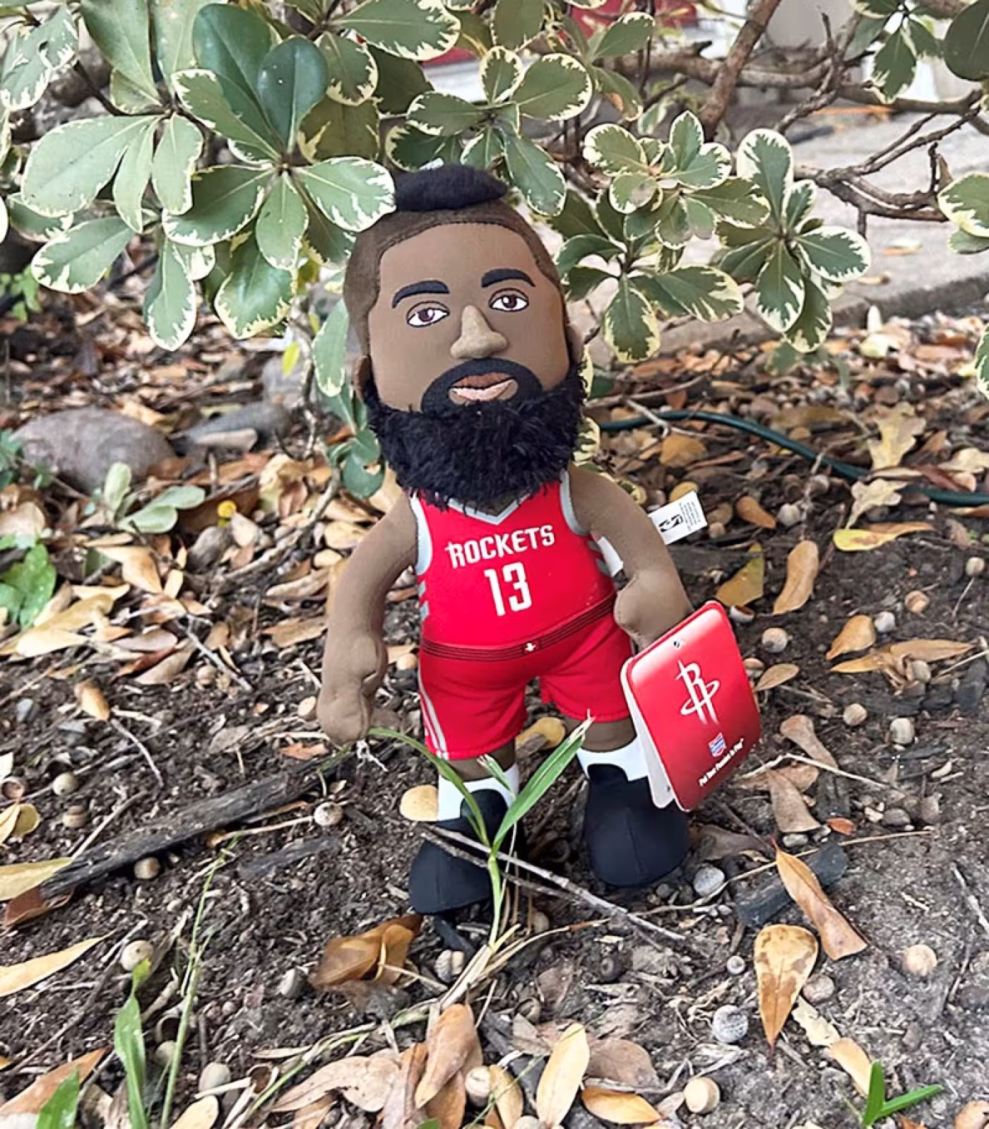James Harden
