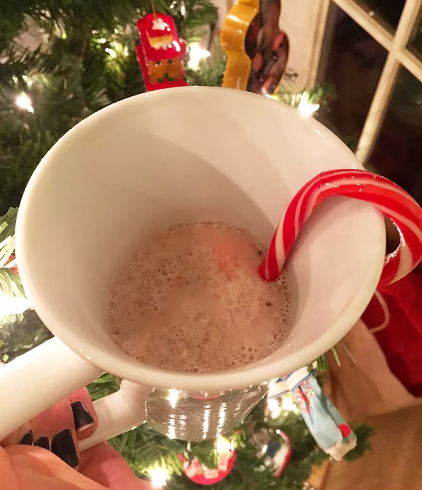 Peppermint Hot Chocolate