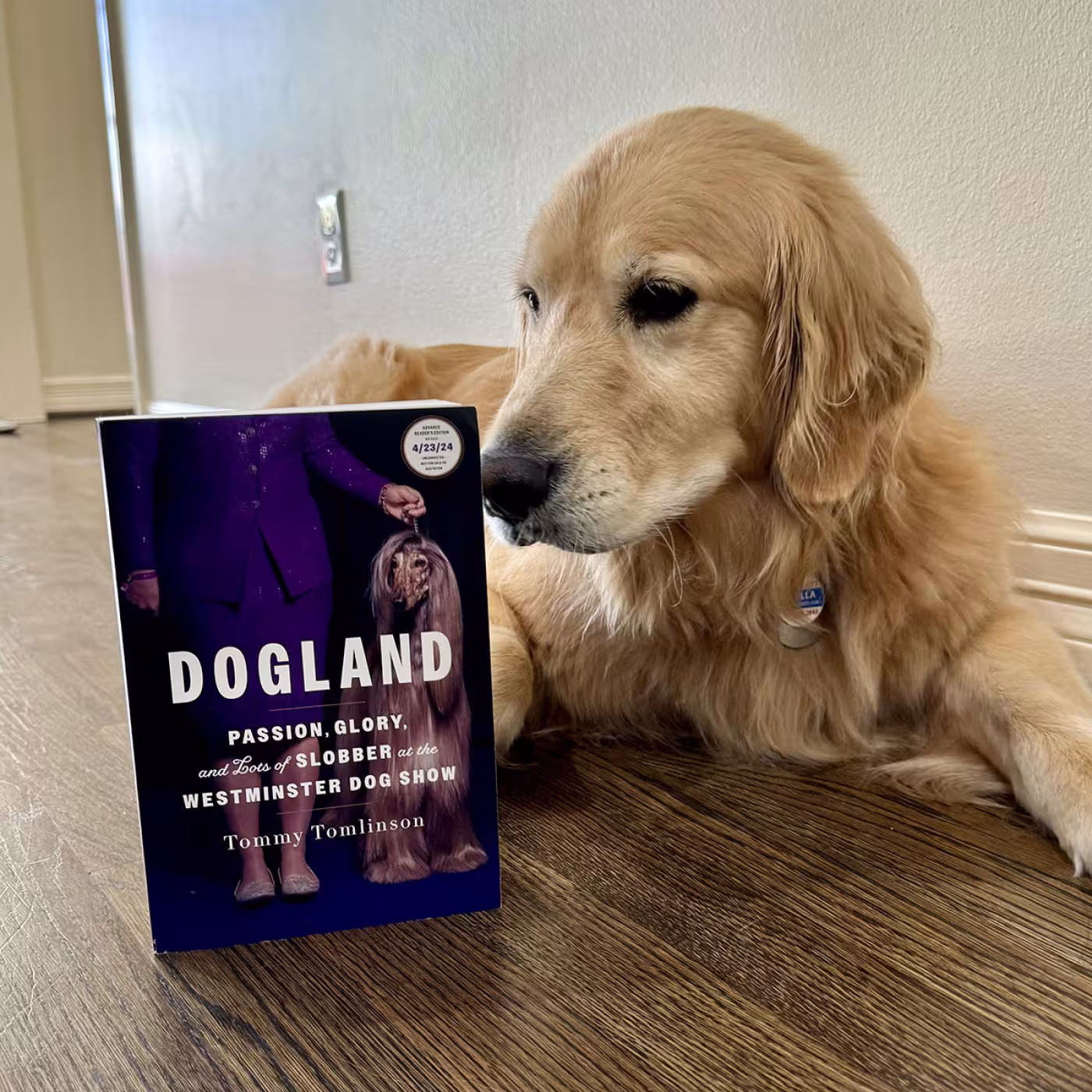 Dogland