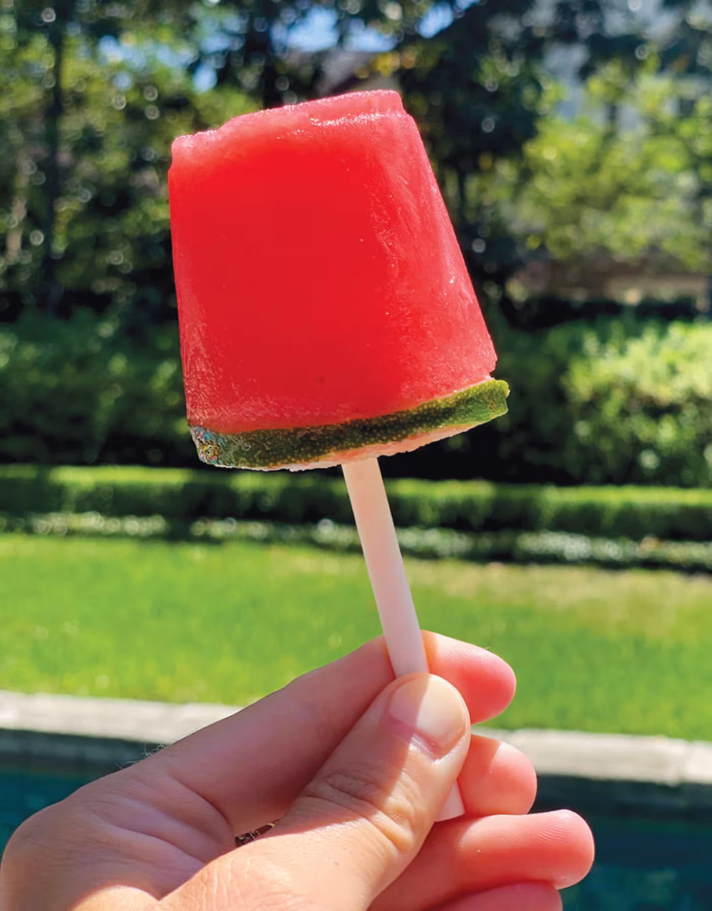 Minty Watermelon Margarita Poptails