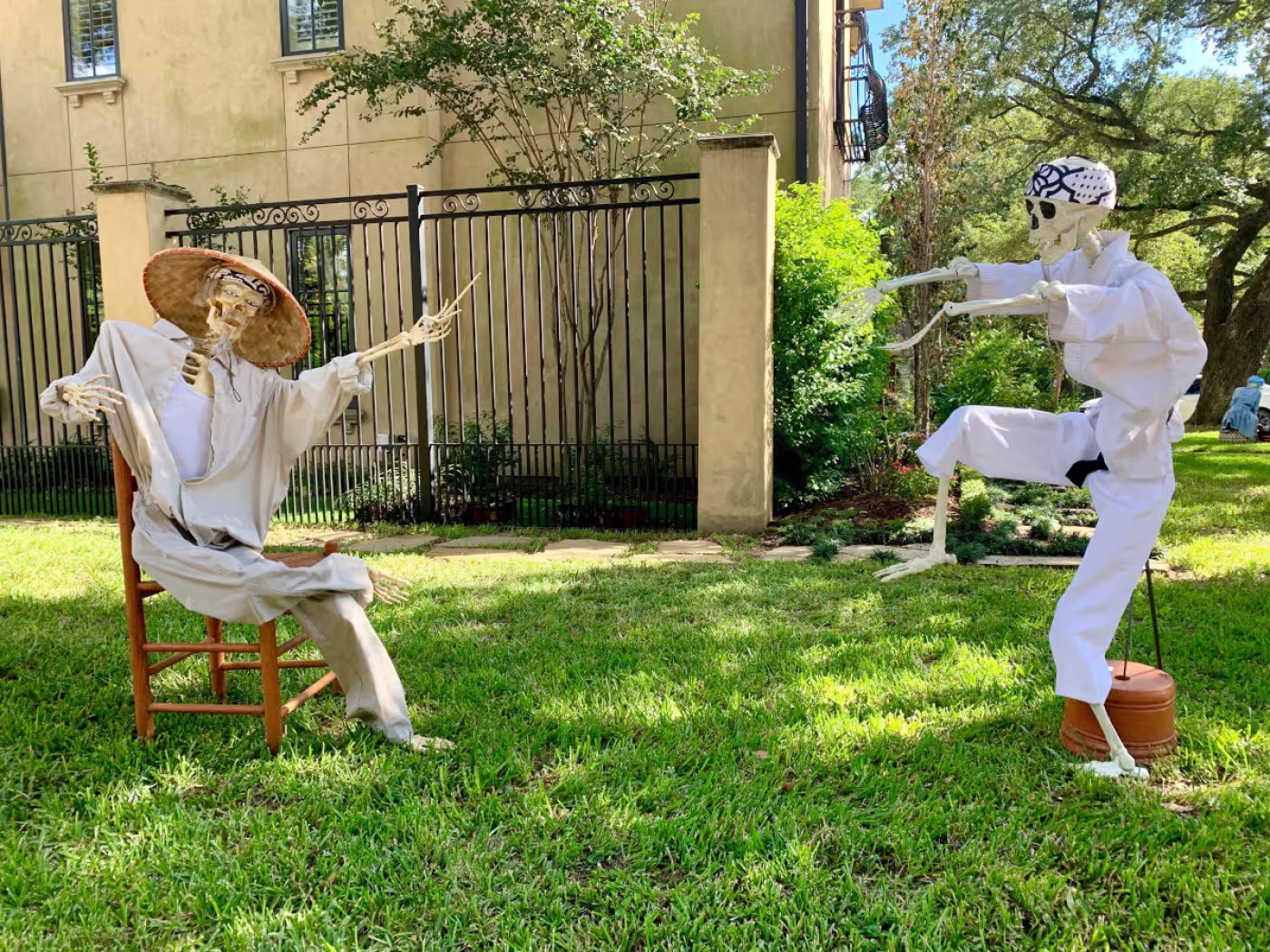 Karate Kid skeletons