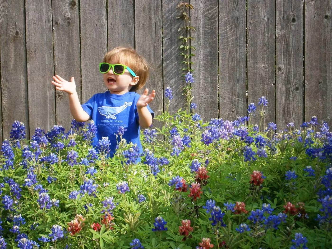 Dania Turner's grandson