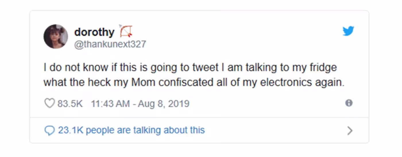 Tweeting from the fridge