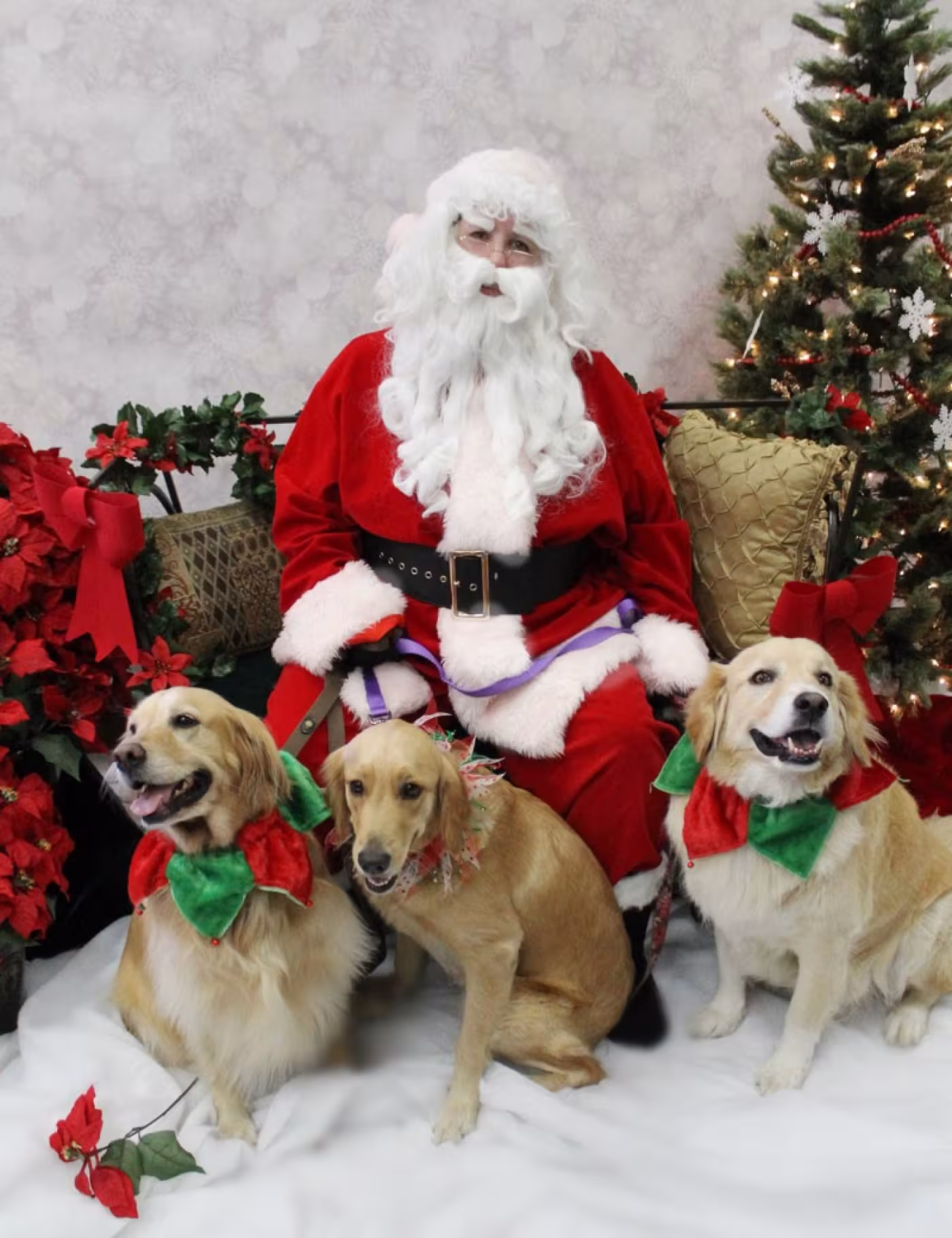 Gilby, Trudy and Candy Yetz.