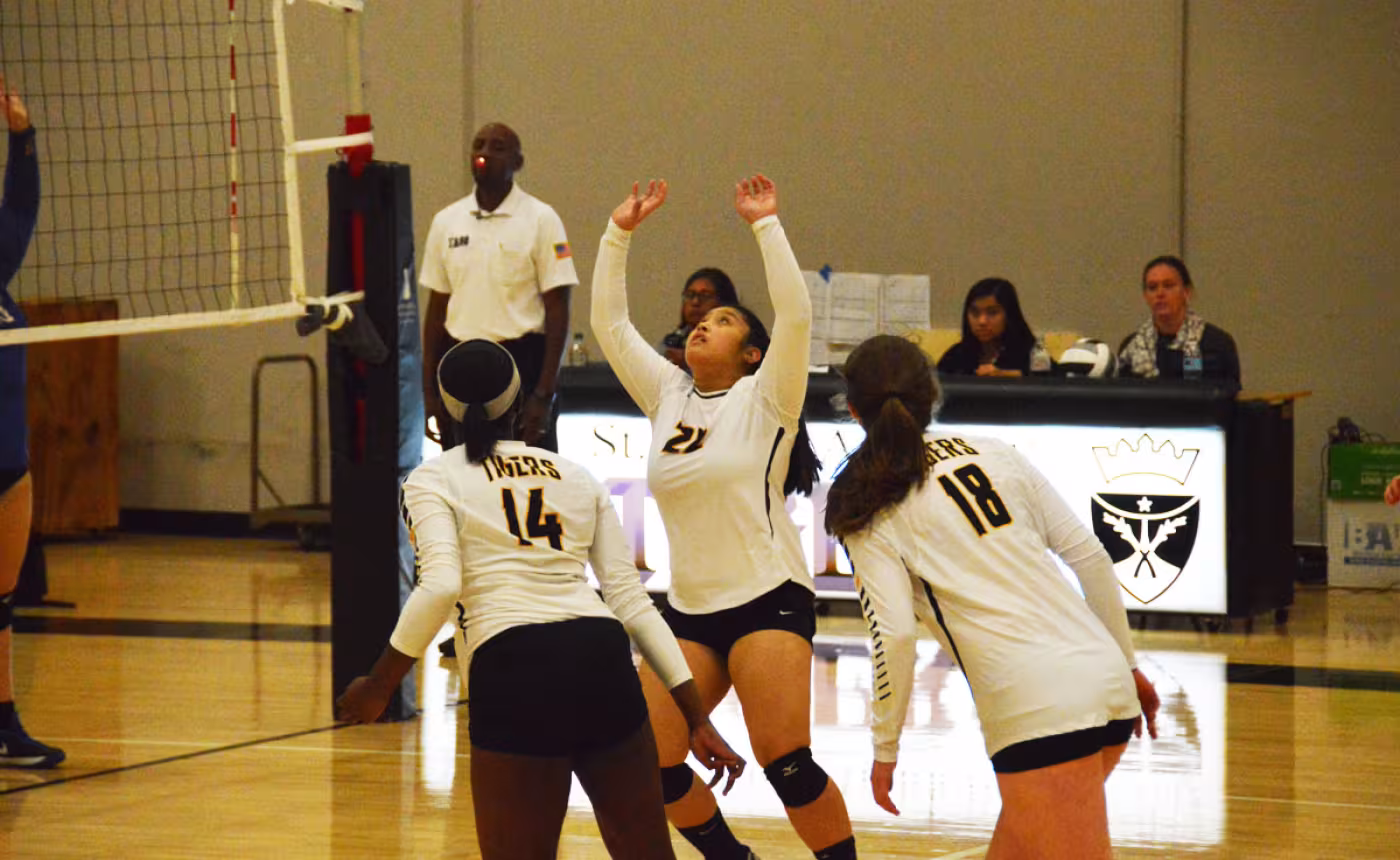 Marichael Clarin-Jante, Raven Sulaimon, Meghan Doyle